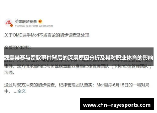 魏震禁赛与罚款事件背后的深层原因分析及其对职业体育的影响
