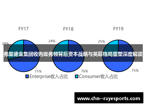 弗里德金集团收购埃弗顿背后资本战略与英超格局重塑深度解读